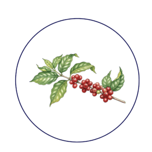 Icon thu hoạch cà phê