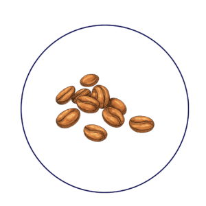 Icon sơ chế và làm khô